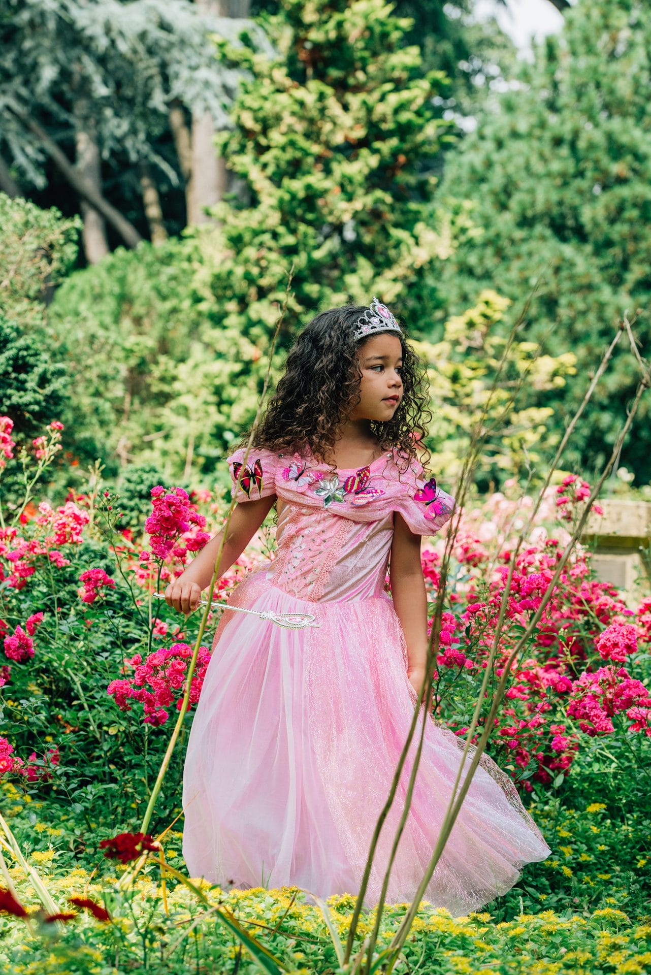 Roze-Assepoester-Prinsessenjurk-Vlinders-Tiara-Toverstaf