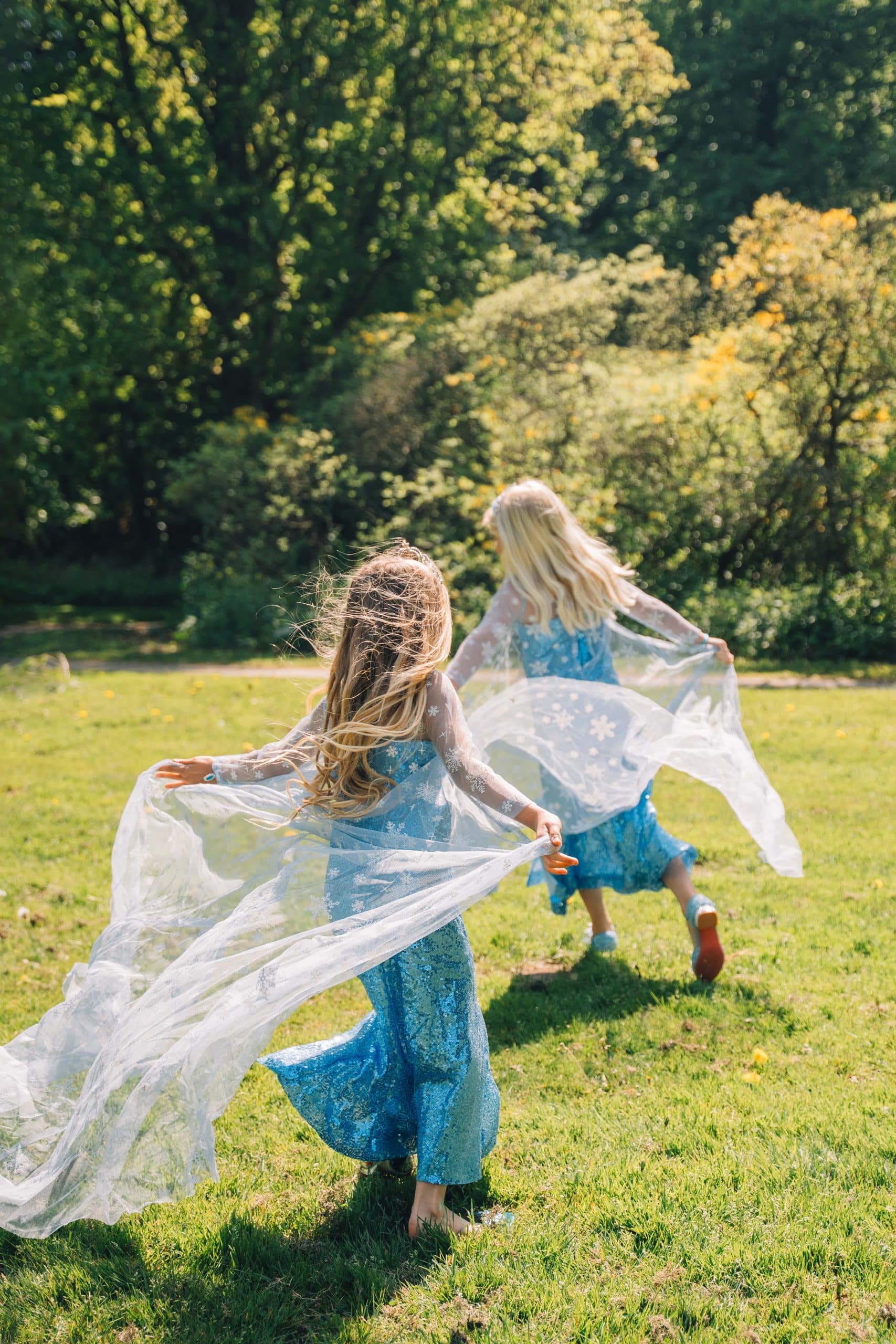 Prinsessenjurk.nl Elsa jurk met sleep 4
