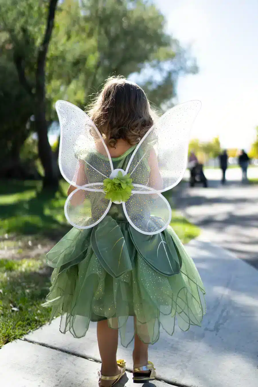 61158-Tinkerbell-Wings-IMG-1_900x.jpg